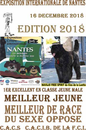 NAVAJO NANTES 2018 MEILLEUR DE RACE OPPOSE